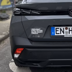 Vinyl-Sticker "I bought this after Elon went crazy." Tesla Aufkleber – Bild 2